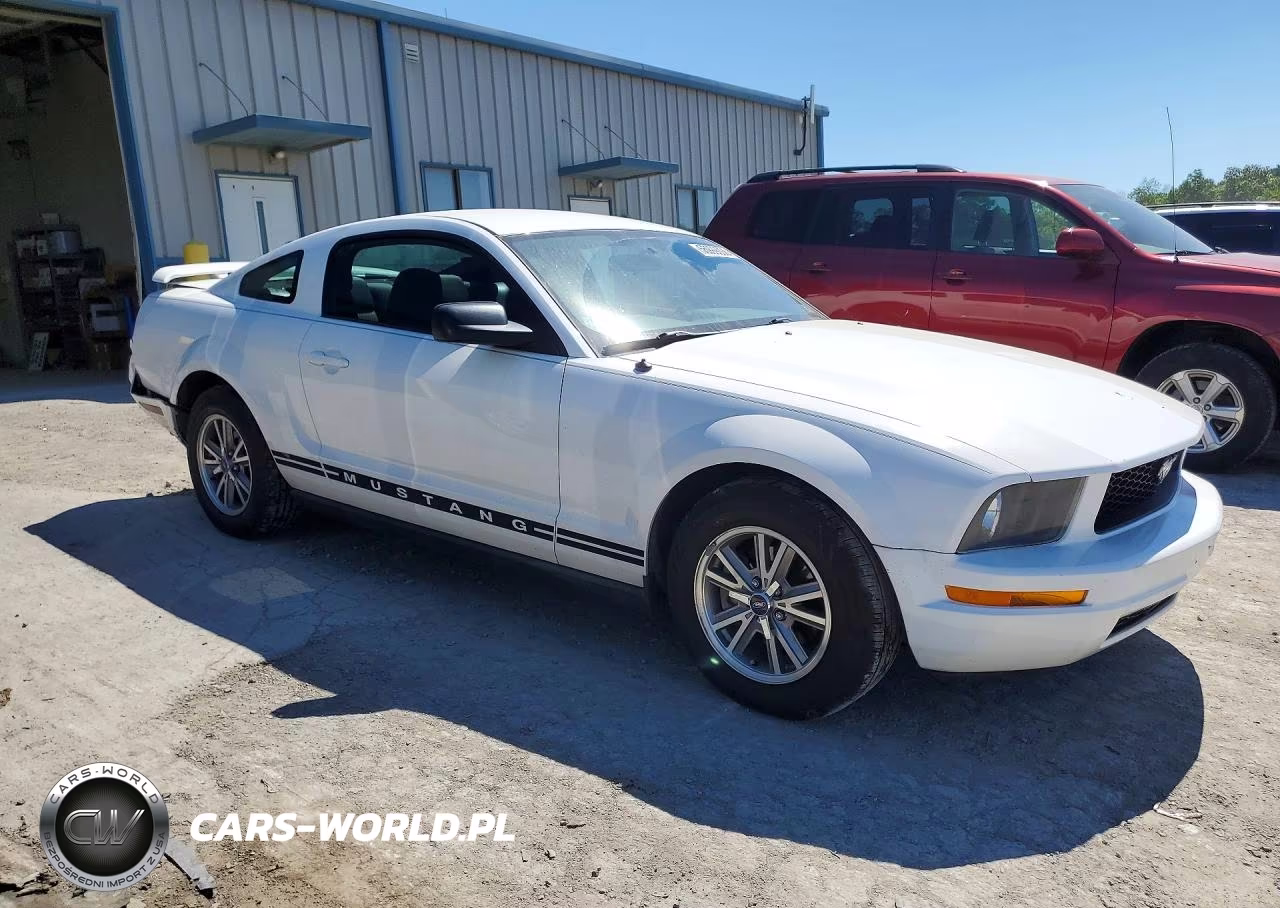 2005 Ford Mustang VIN:1ZVFT80N255144040 - 4