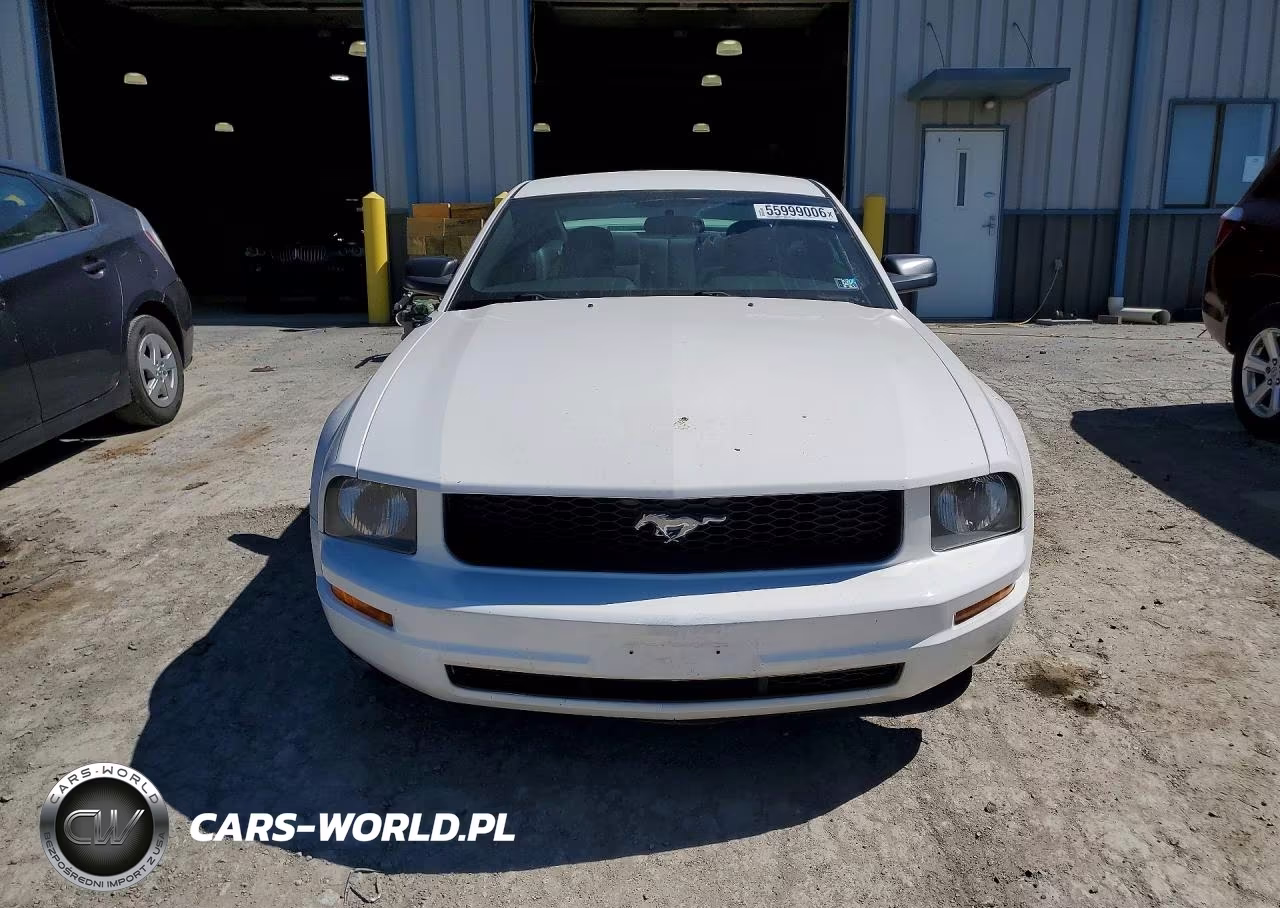 2005 Ford Mustang VIN:1ZVFT80N255144040 - 5