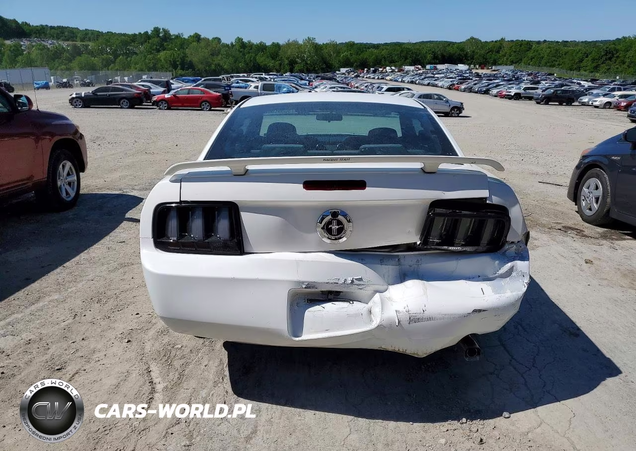 2005 Ford Mustang VIN:1ZVFT80N255144040 - 6