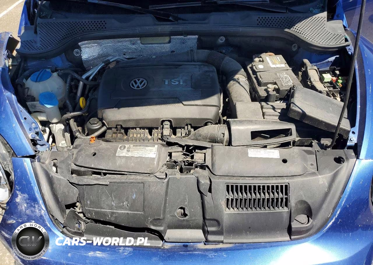 2013 Volkswagen Beetle Turbo VIN:3VW7S7AT7DM825561 - 11