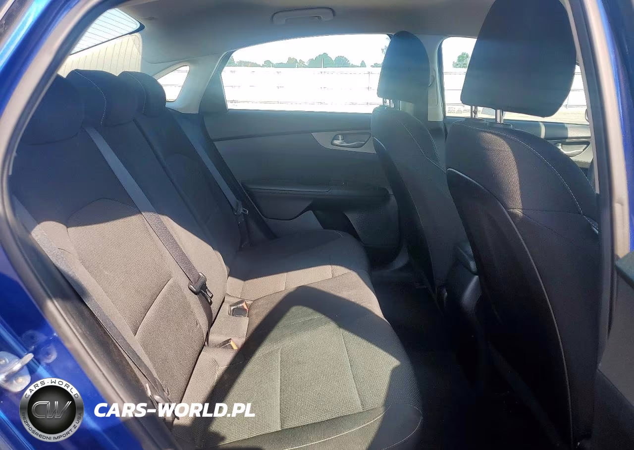 2019 Kia Forte Lxs VIN:3KPF24AD0KE040411 - 10