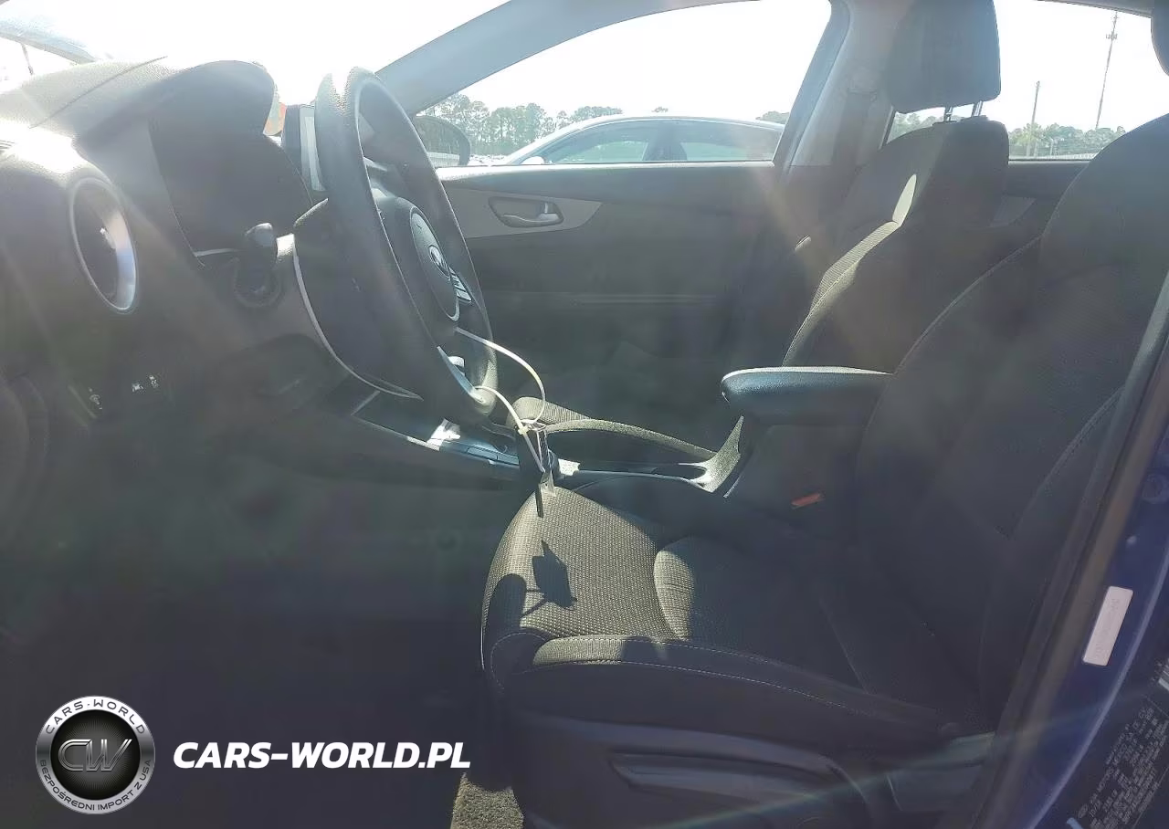 2019 Kia Forte Lxs VIN:3KPF24AD0KE040411 - 7