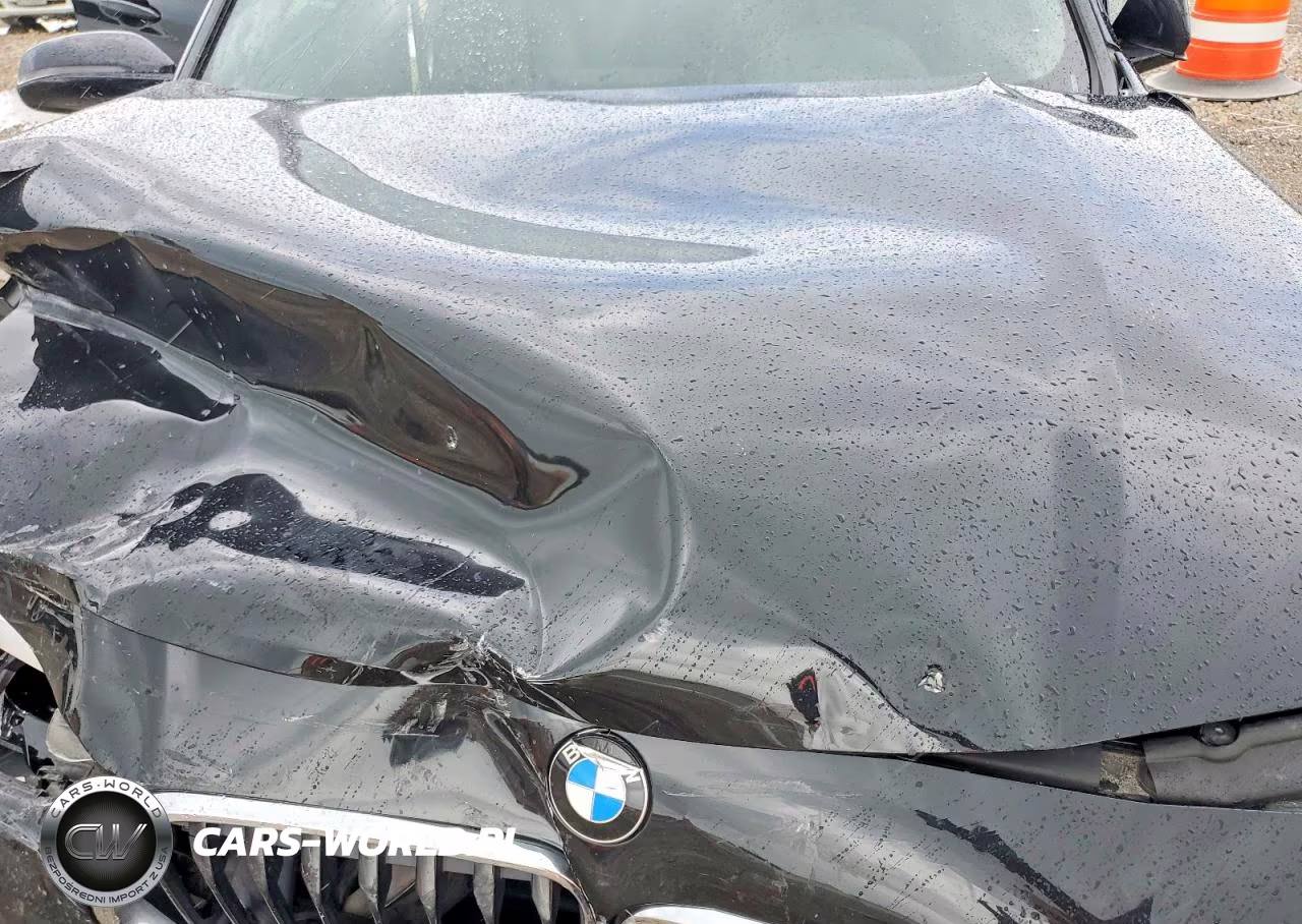 2019 BMW X2 Sdrive28I VIN:WBXYJ3C54KEP77248 - 11