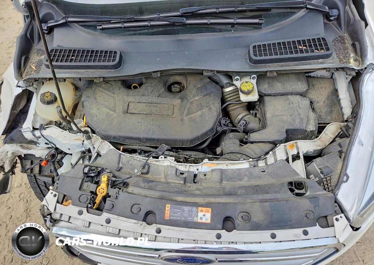2019 Ford Escape Titanium VIN:1FMCU9J96KUC42687 - 12