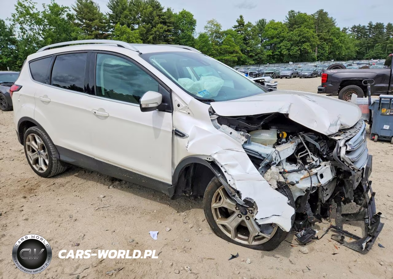 2019 Ford Escape Titanium VIN:1FMCU9J96KUC42687 - 4