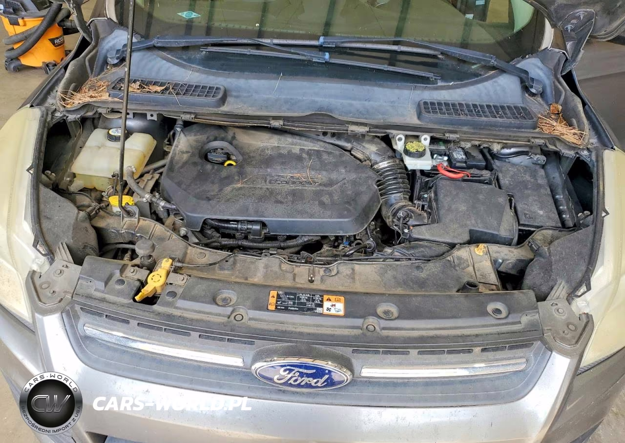 2014 Ford Escape Se VIN:1FMCU9GXXEUC26146 - 11