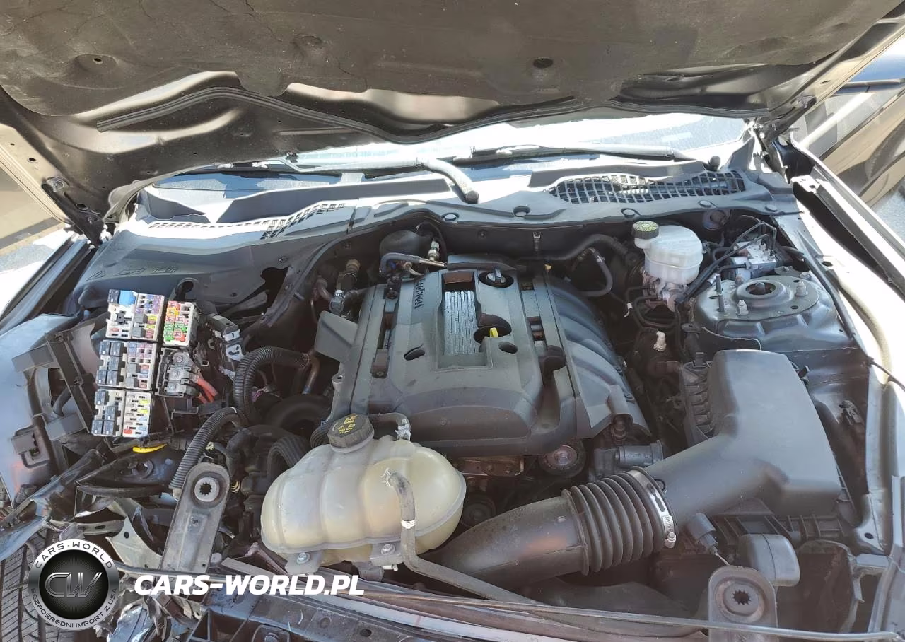 2019 Ford Mustang VIN:1FA6P8TH6K5202276 - 11