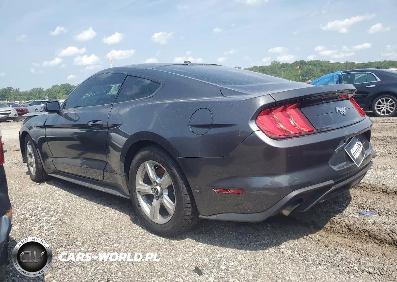 2019 Ford Mustang VIN:1FA6P8TH6K5202276 - 2