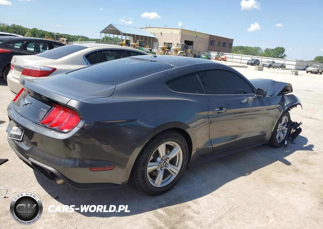 2019 Ford Mustang VIN:1FA6P8TH6K5202276 - 3