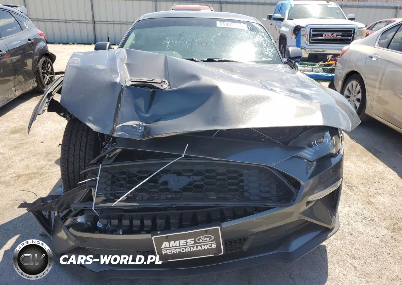 2019 Ford Mustang VIN:1FA6P8TH6K5202276 - 5