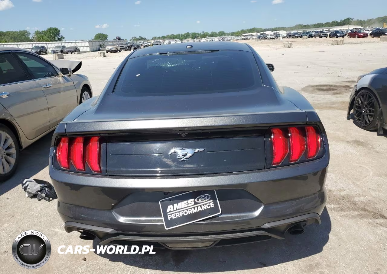 2019 Ford Mustang VIN:1FA6P8TH6K5202276 - 6