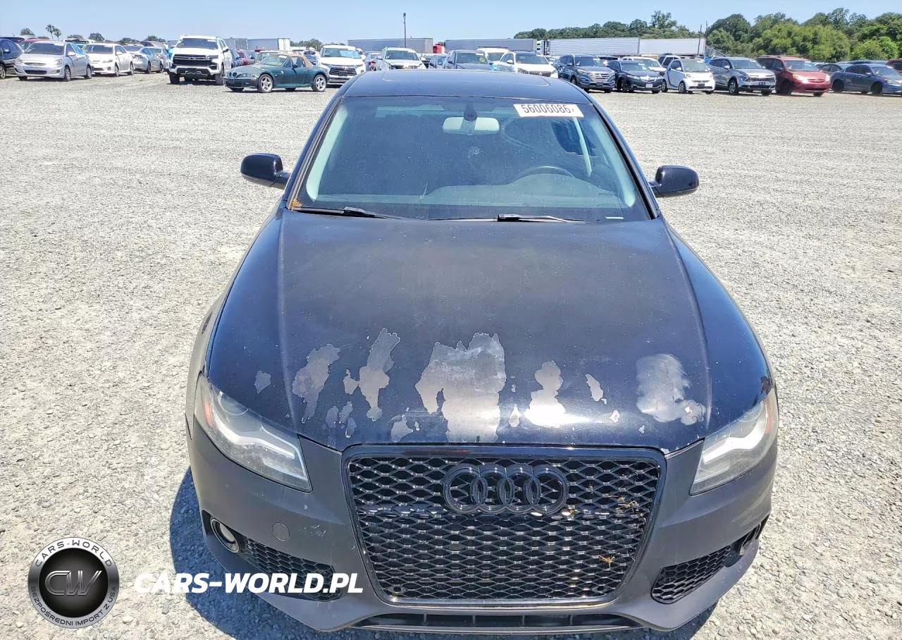 2010 Audi A4 Premium Plus VIN:WAUFFAFL9AN029983 - 5