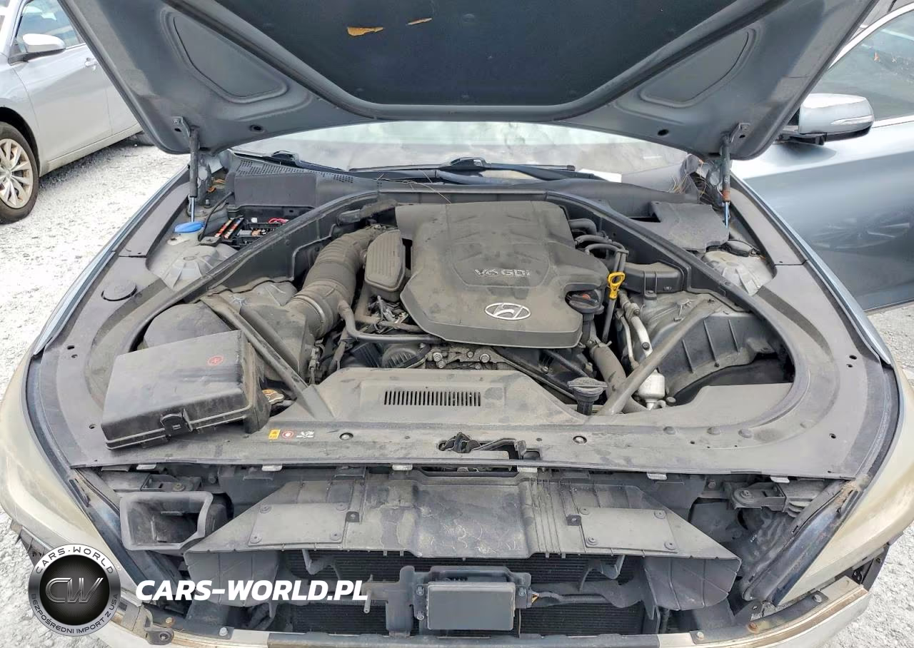 2015 Hyundai Genesis 3.8L VIN:KMHGN4JE7FU047671 - 11