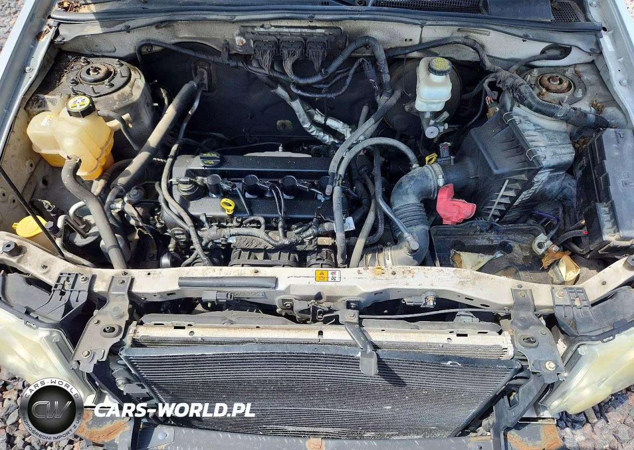 2009 Ford Escape Xlt VIN:1FMCU03709KD07997 - 11