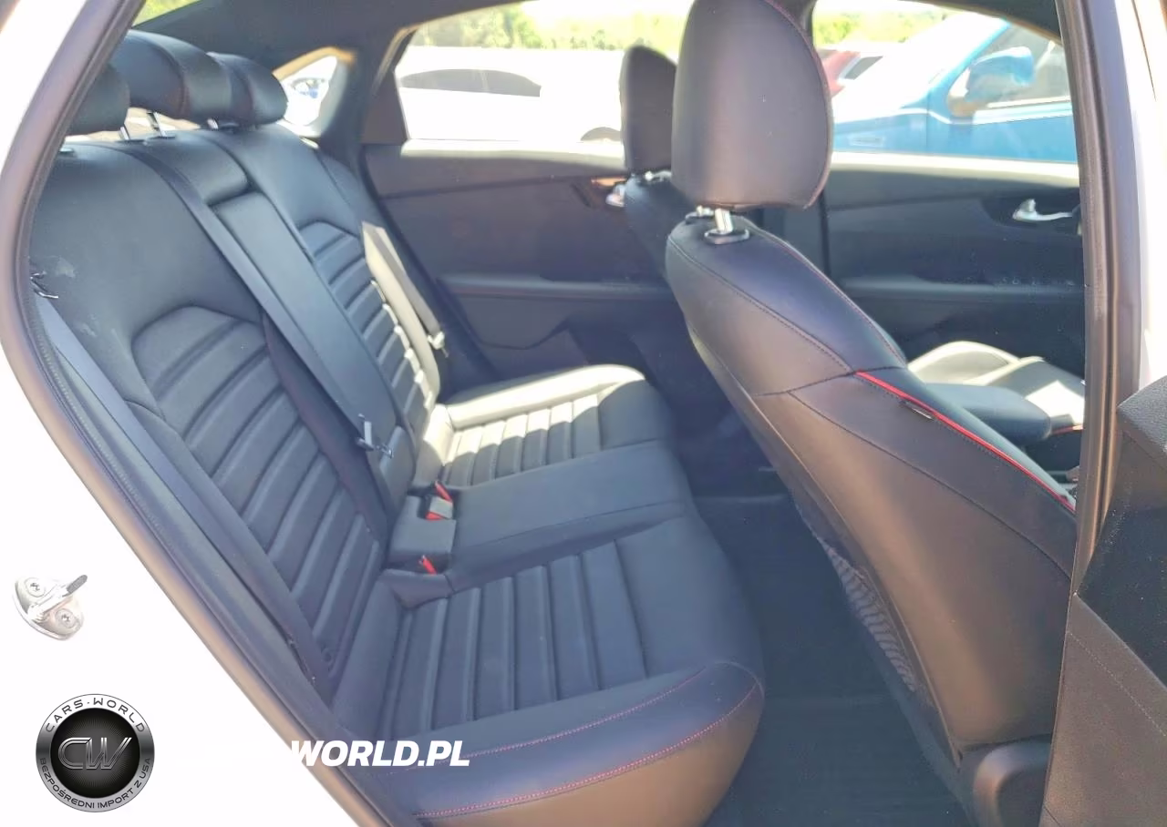 2024 Kia Forte Gt VIN:3KPF44AC4RE698728 - 10
