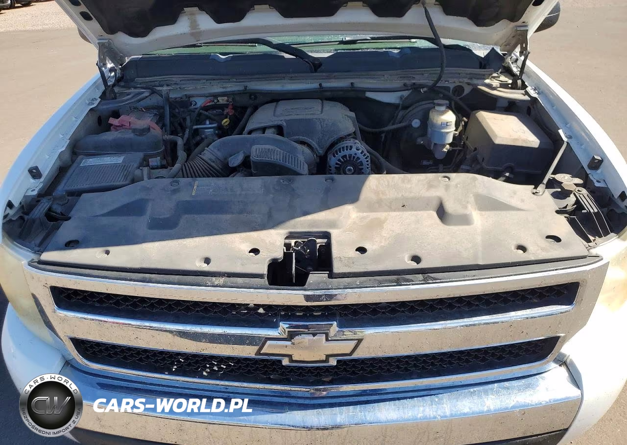 2007 Chevrolet Silverado K1500 VIN:1GCEK19077Z583584 - 11