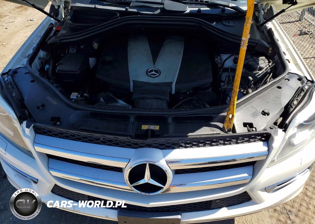 2013 Mercedes-Benz Gl 350 Bluetec VIN:4JGDF2EE9DA190750 - 12