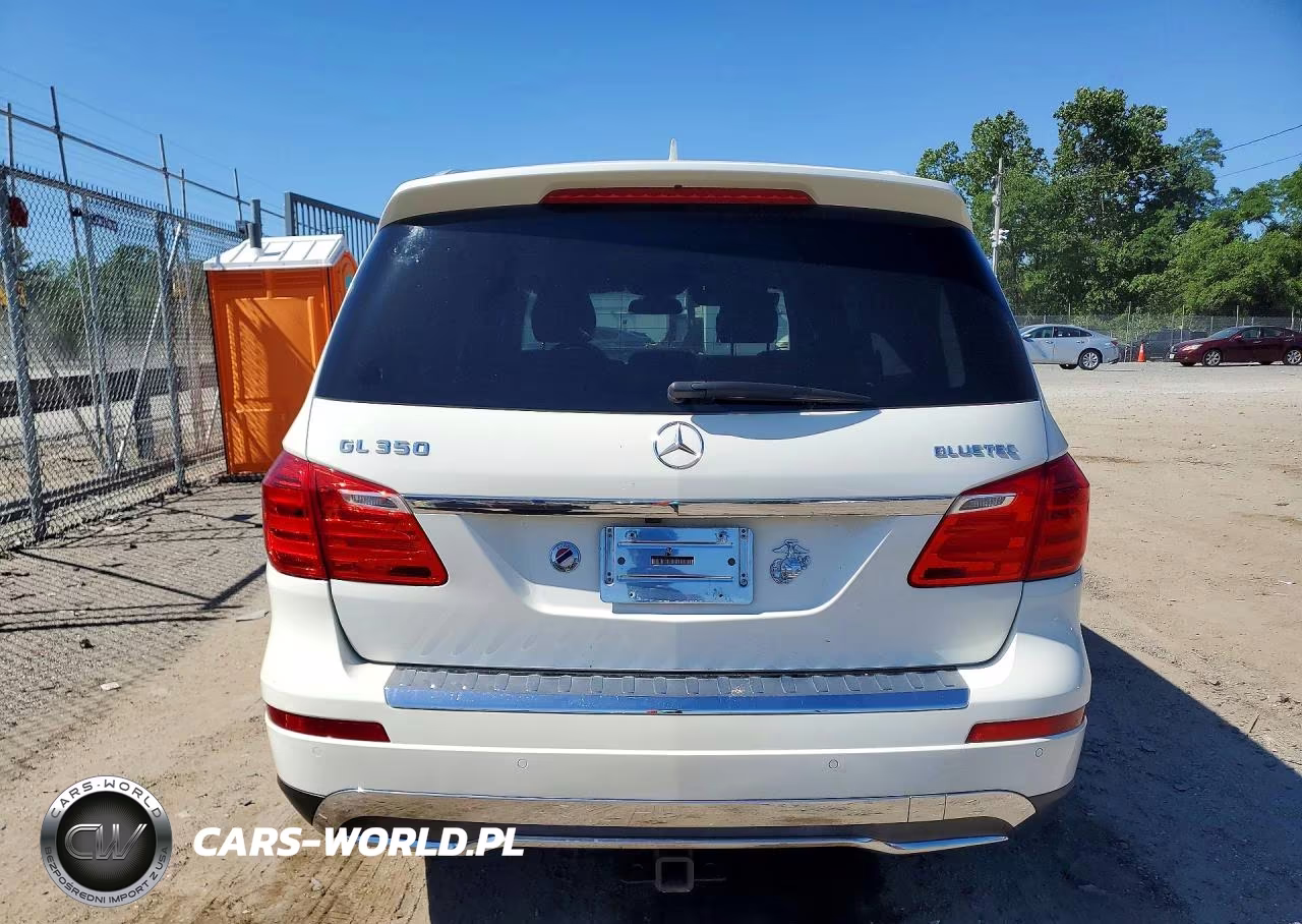 2013 Mercedes-Benz Gl 350 Bluetec VIN:4JGDF2EE9DA190750 - 6
