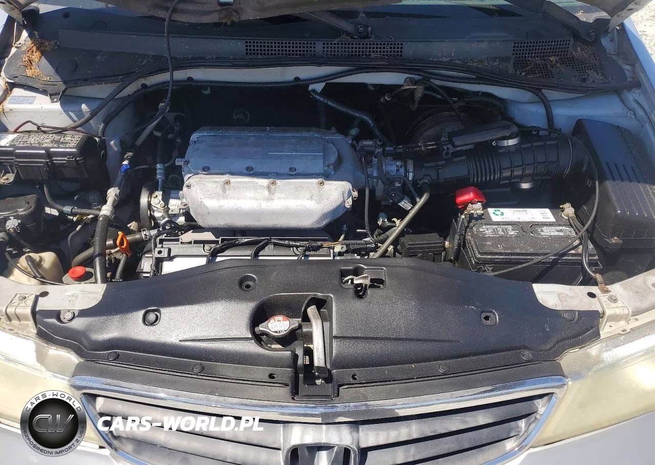2003 Honda Odyssey Exl VIN:5FNRL187X3B062422 - 12