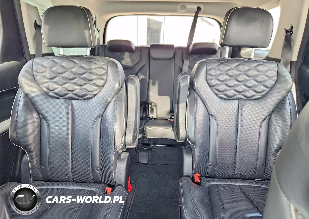 2021 Hyundai Palisade Limited VIN:KM8R54HEXMU227335 - 10