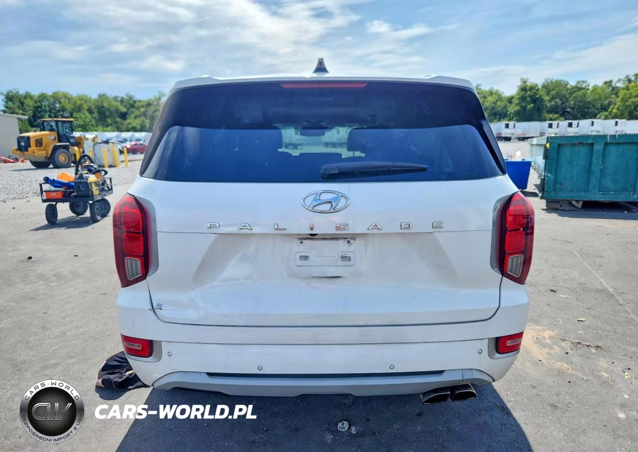 2021 Hyundai Palisade Limited VIN:KM8R54HEXMU227335 - 6