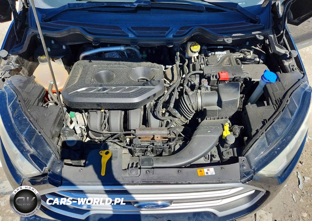 2020 Ford Ecosport Se VIN:MAJ6S3GLXLC358995 - 11