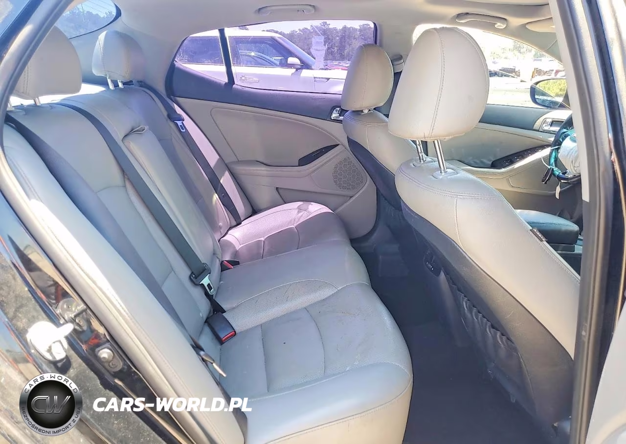 2014 Kia Optima Ex VIN:5XXGN4A73EG267528 - 10