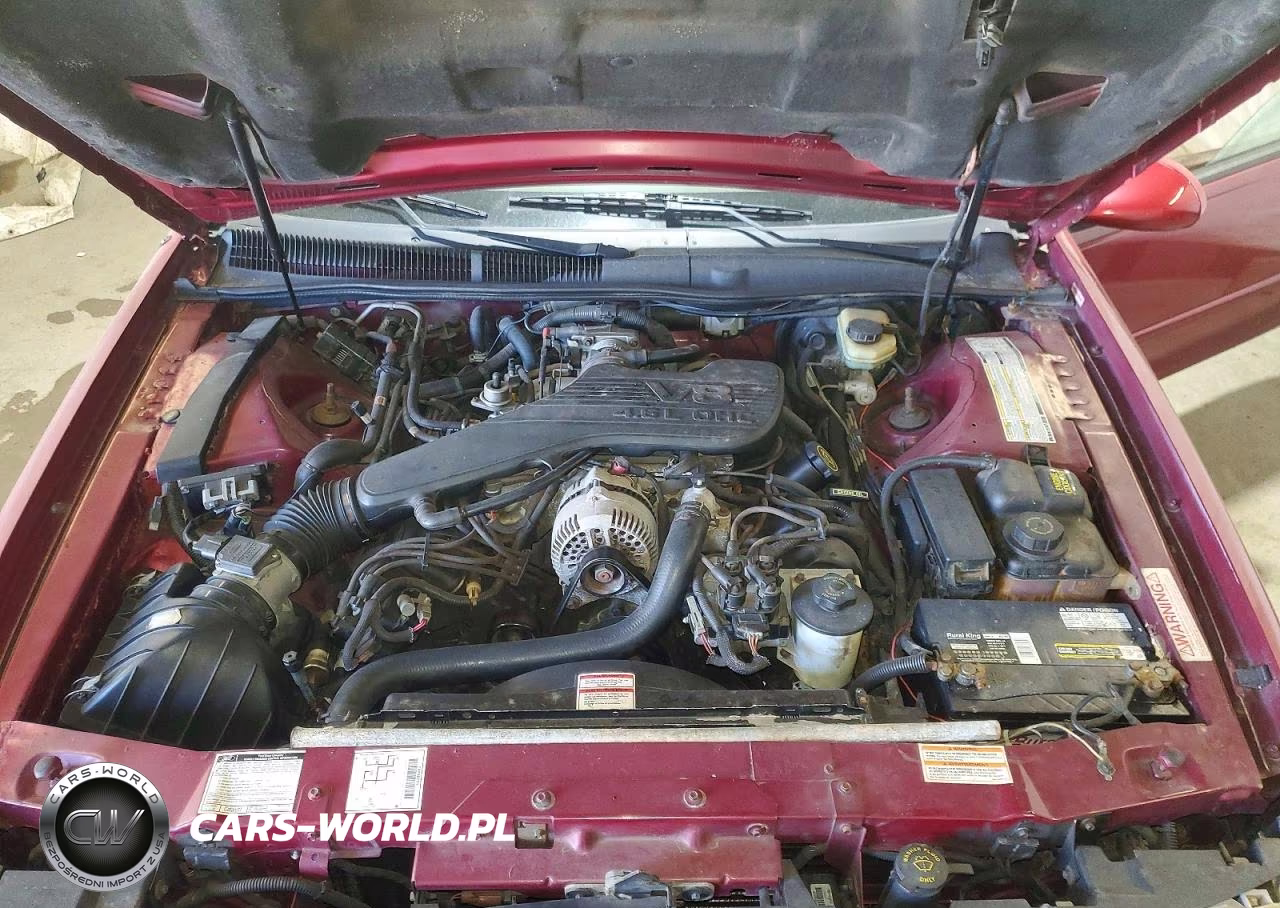 1995 Ford Thunderbird Lx VIN:1FALP62W2SH104495 - 11