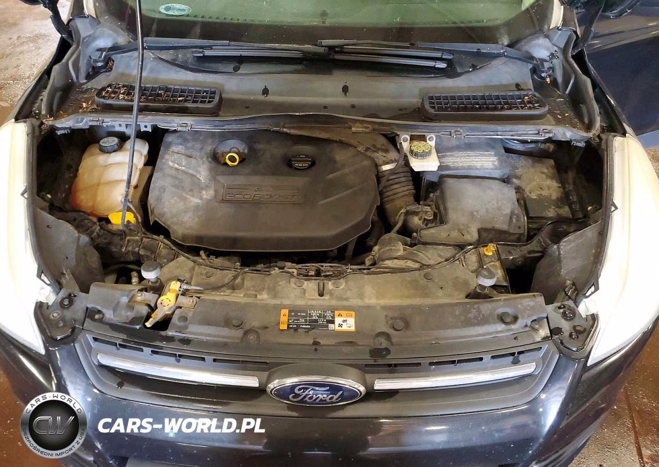 2013 Ford Escape Se VIN:1FMCU0G90DUC22912 - 12