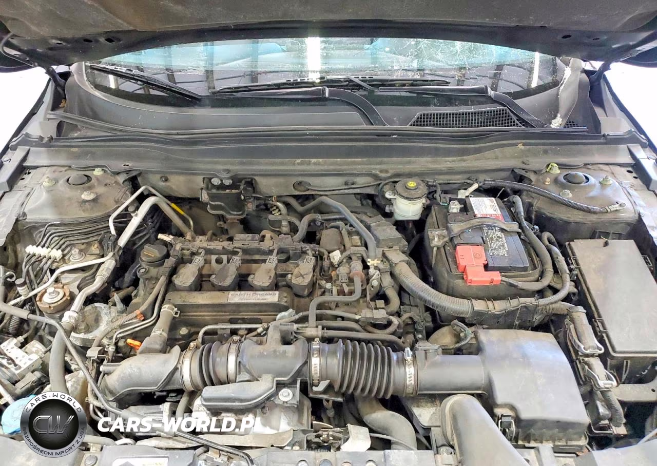 2019 Honda Accord Lx VIN:1HGCV1F15KA118421 - 11