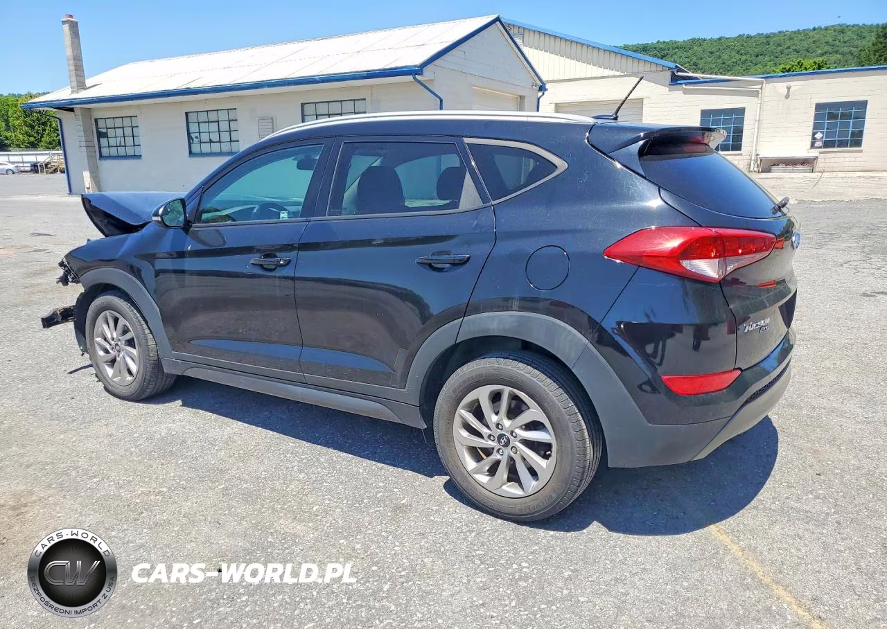 2016 Hyundai Tucson Eco VIN:KM8J3CA29GU123629 - 2