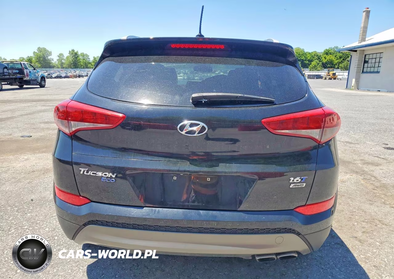 2016 Hyundai Tucson Eco VIN:KM8J3CA29GU123629 - 6