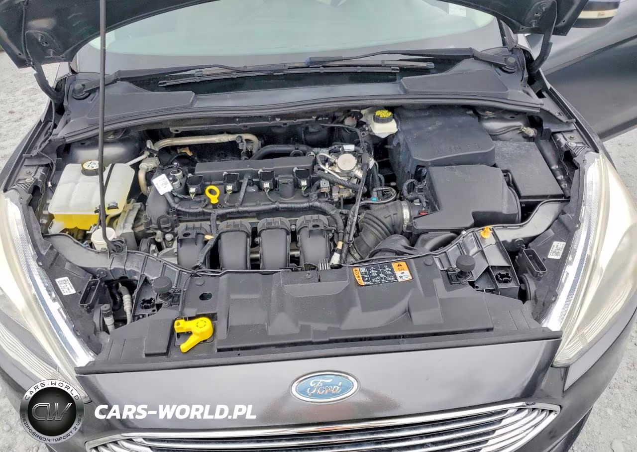2018 Ford Focus Titanium VIN:1FADP3J2XJL294124 - 11