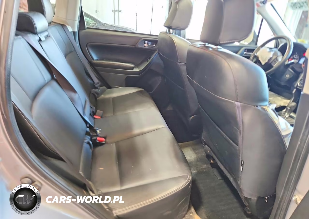 2016 Subaru Forester 2.5I Limited VIN:JF2SJAHC3GH489906 - 10