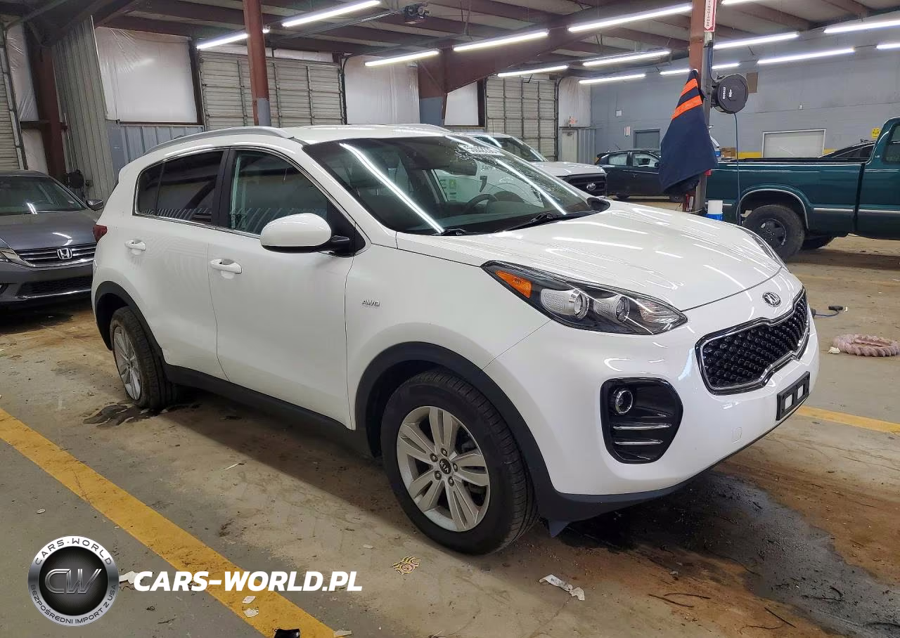 2019 Kia Sportage Lx VIN:KNDPMCAC6K7597212 - 4