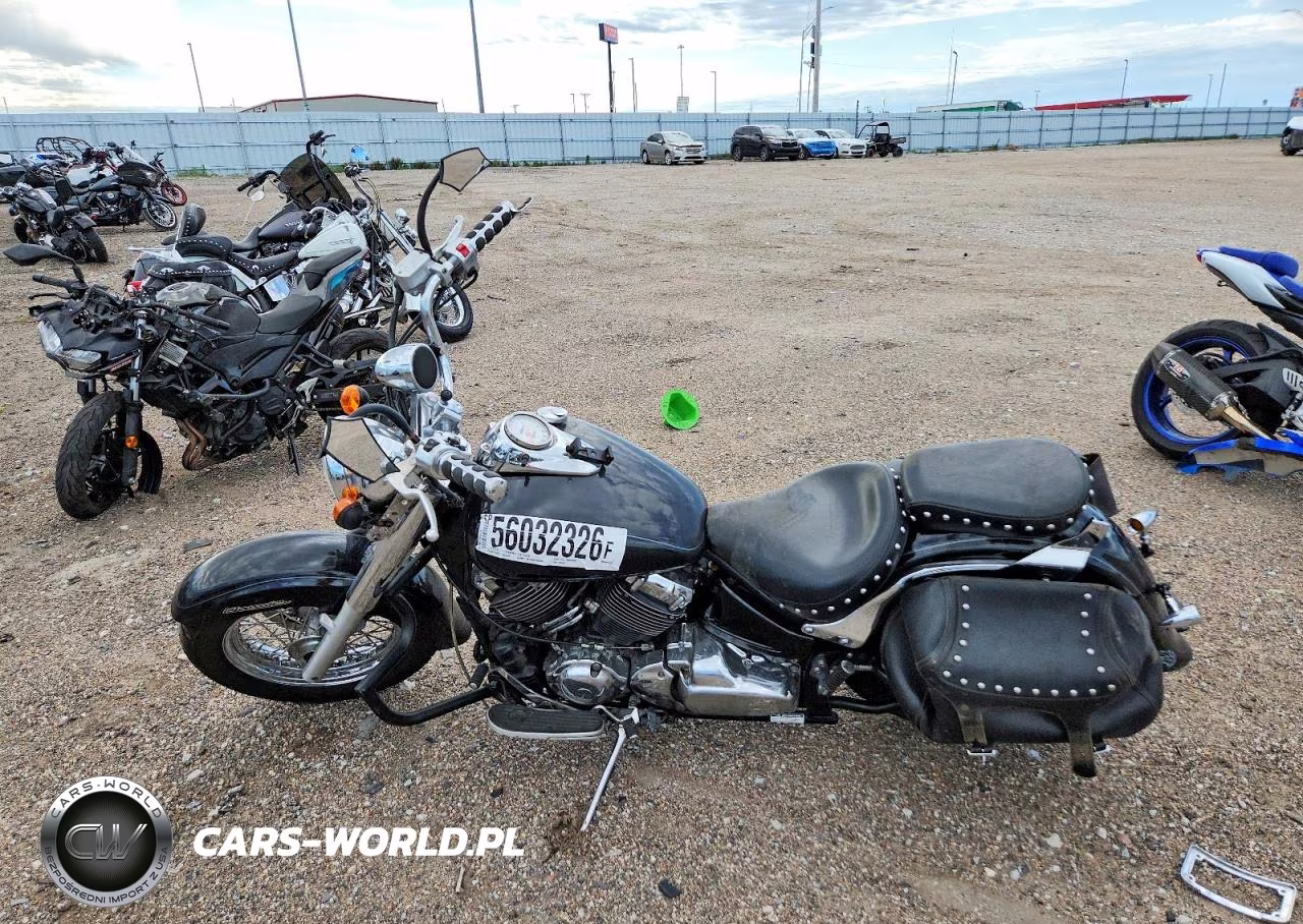2009 Yamaha Xvs650 A VIN:JYAVM01EX9A133050 - 3