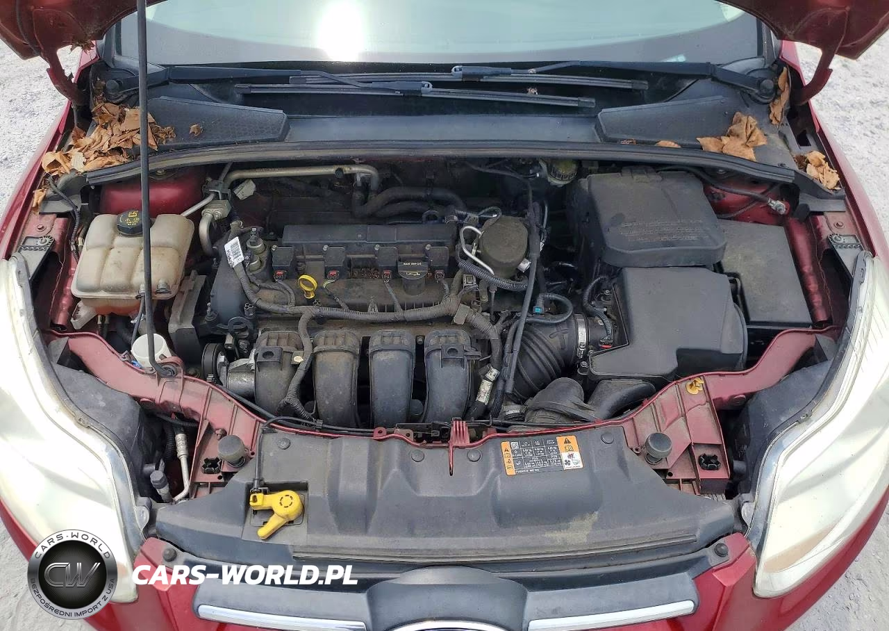 2014 Ford Focus Se VIN:1FADP3K28EL383498 - 11