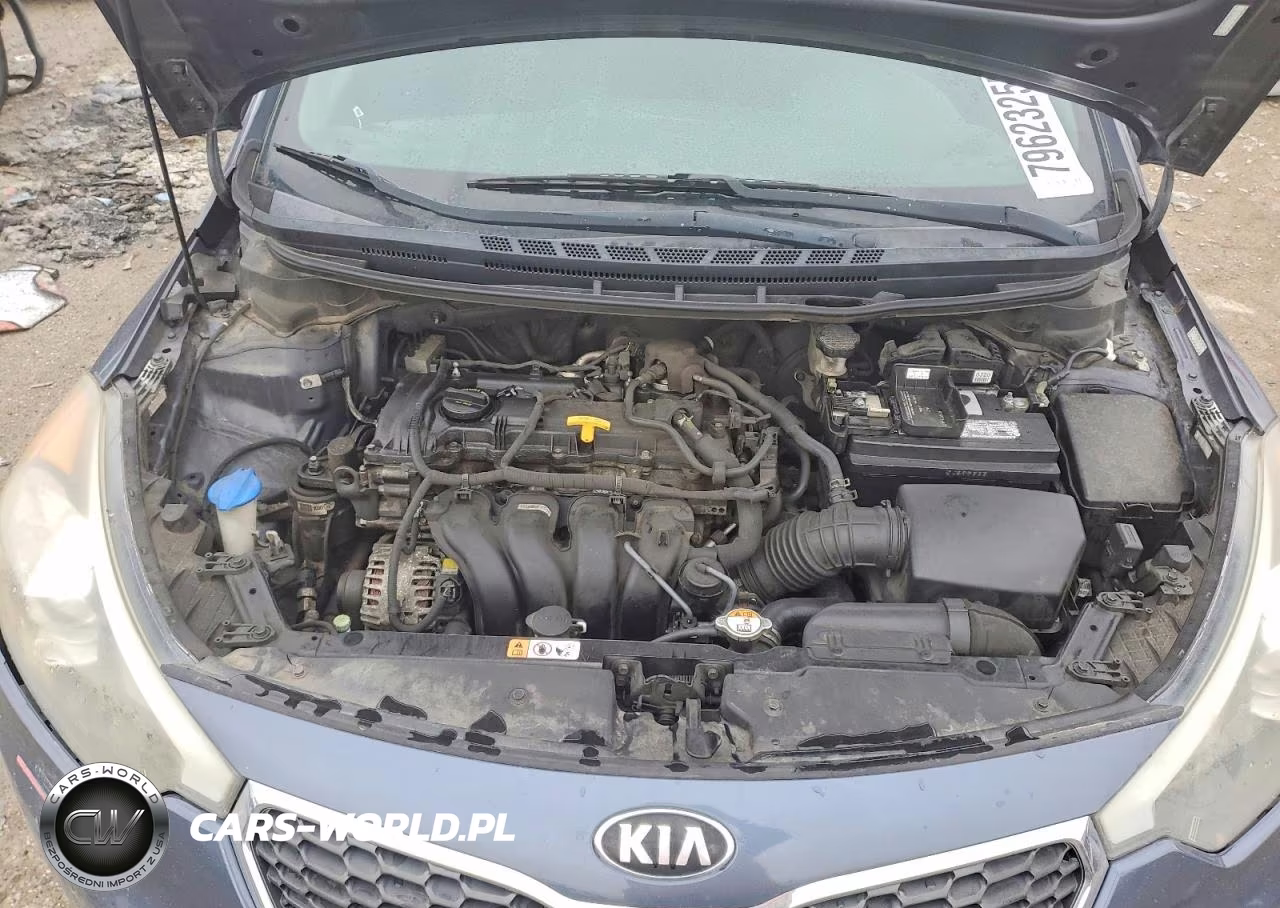 2016 Kia Forte5 Lx VIN:KNAFK5A86G5583853 - 11