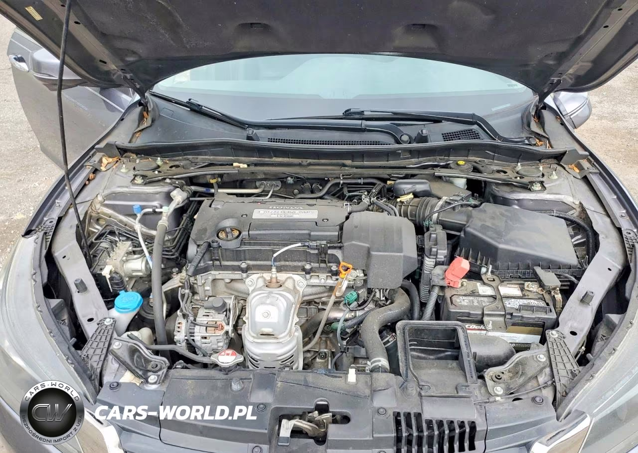 2013 Honda Accord Exl VIN:1HGCR2F86DA021805 - 11