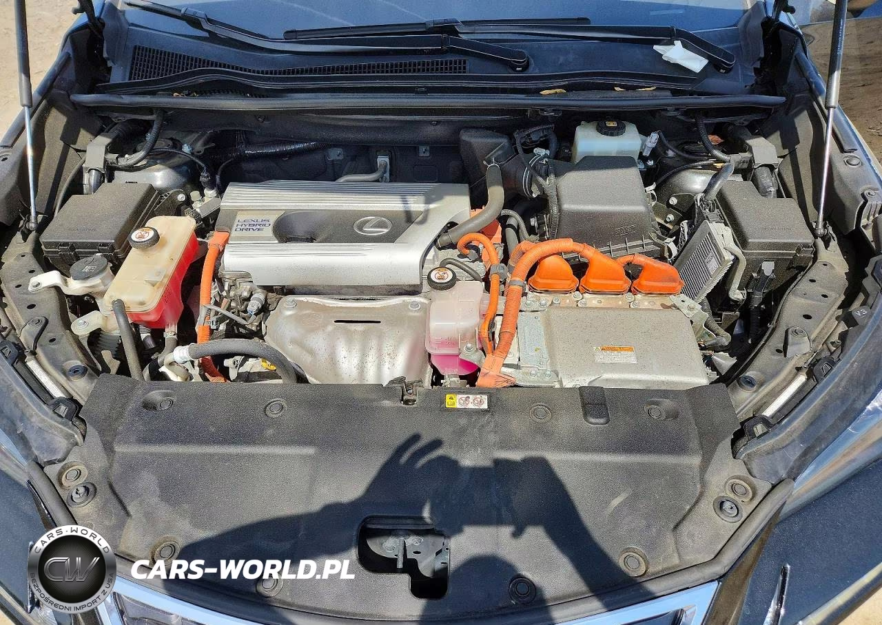 2019 Lexus Nx 300H VIN:JTJBJRBZ3K2115802 - 12