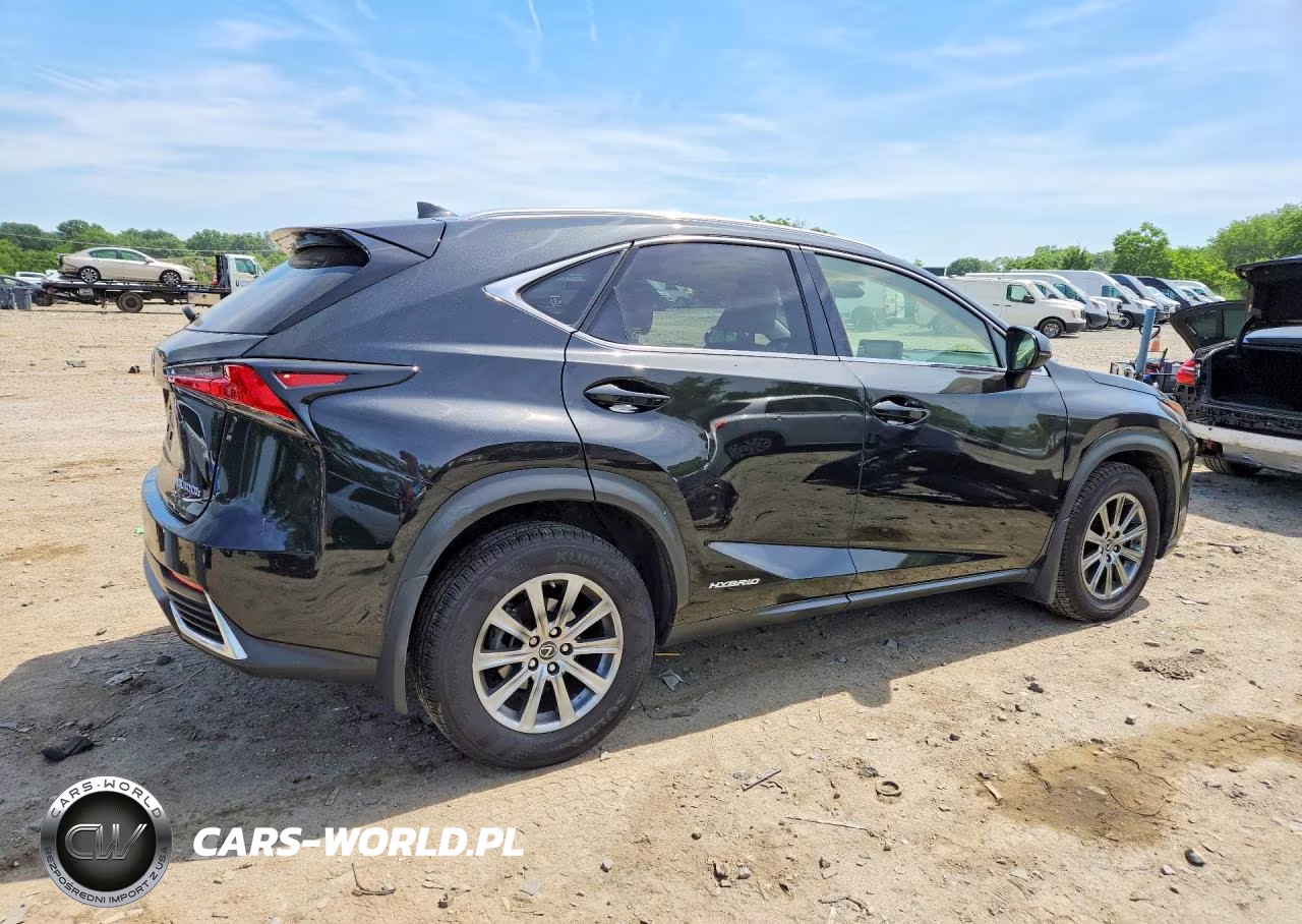 2019 Lexus Nx 300H VIN:JTJBJRBZ3K2115802 - 3
