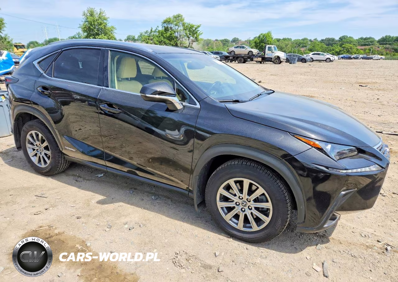 2019 Lexus Nx 300H VIN:JTJBJRBZ3K2115802 - 4
