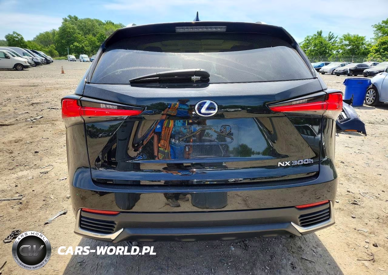 2019 Lexus Nx 300H VIN:JTJBJRBZ3K2115802 - 6