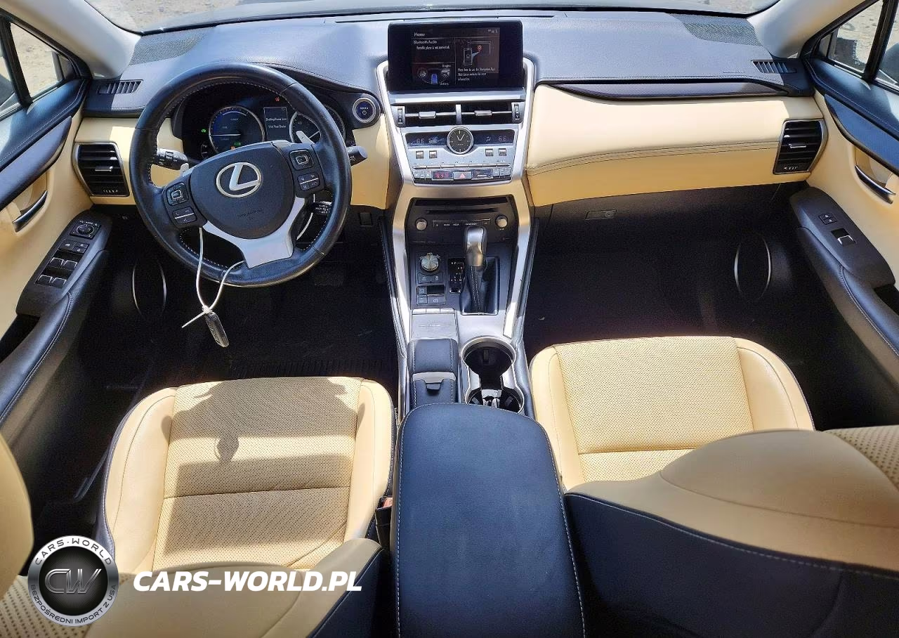 2019 Lexus Nx 300H VIN:JTJBJRBZ3K2115802 - 8