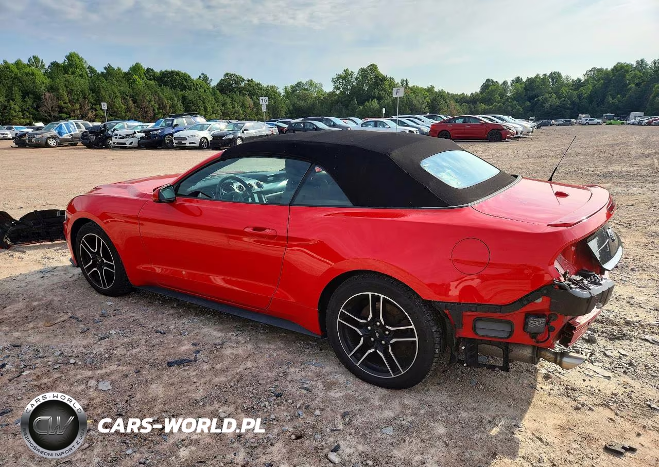 2021 Ford Mustang VIN:1FATP8UH4M5111124 - 2