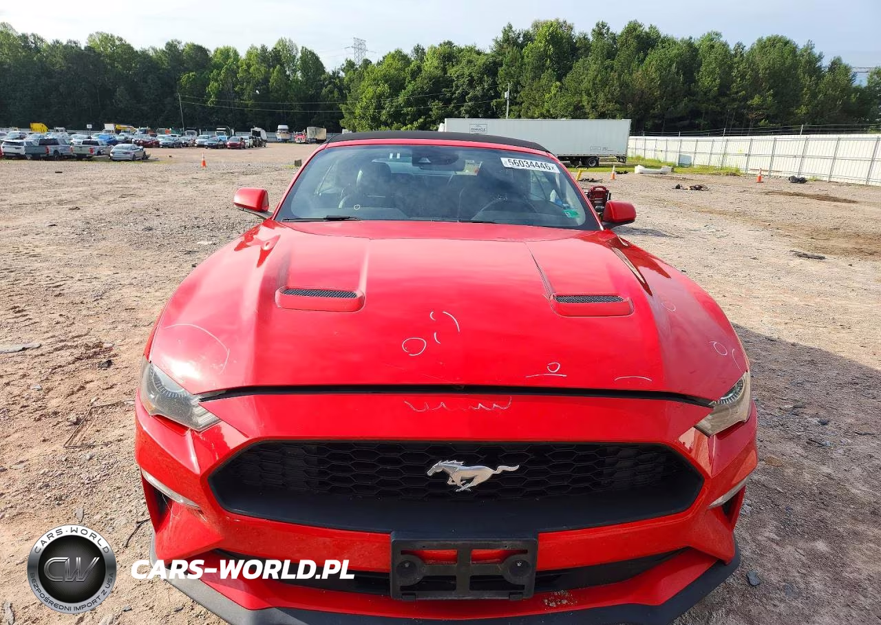 2021 Ford Mustang VIN:1FATP8UH4M5111124 - 5