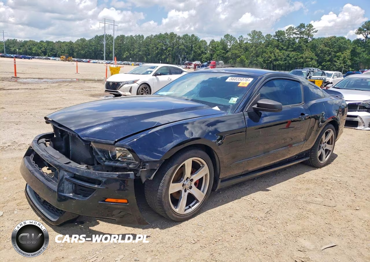 2014 Ford Mustang – zdjęcie 1 z 13