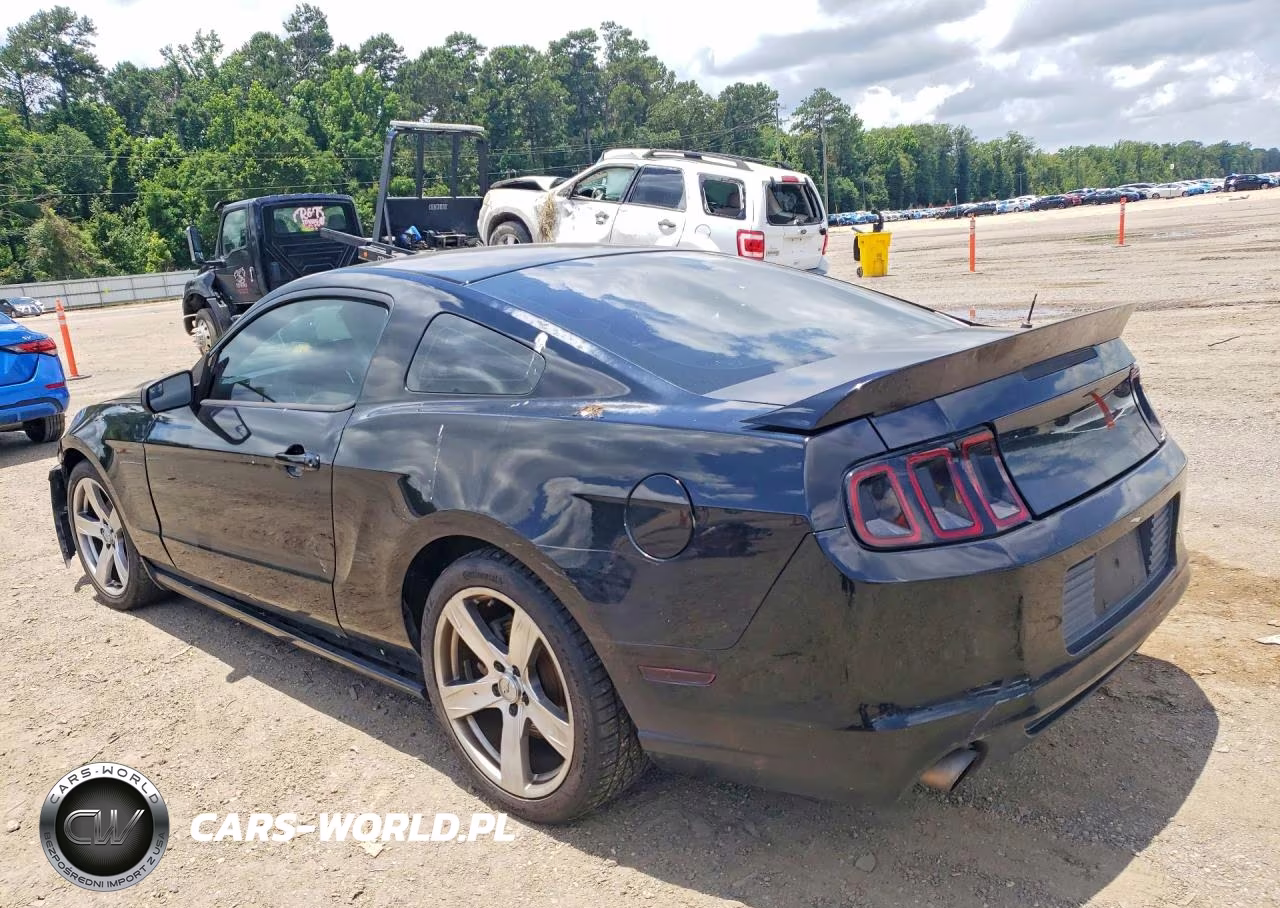 2014 Ford Mustang VIN:1ZVBP8AM2E5330606 - 2