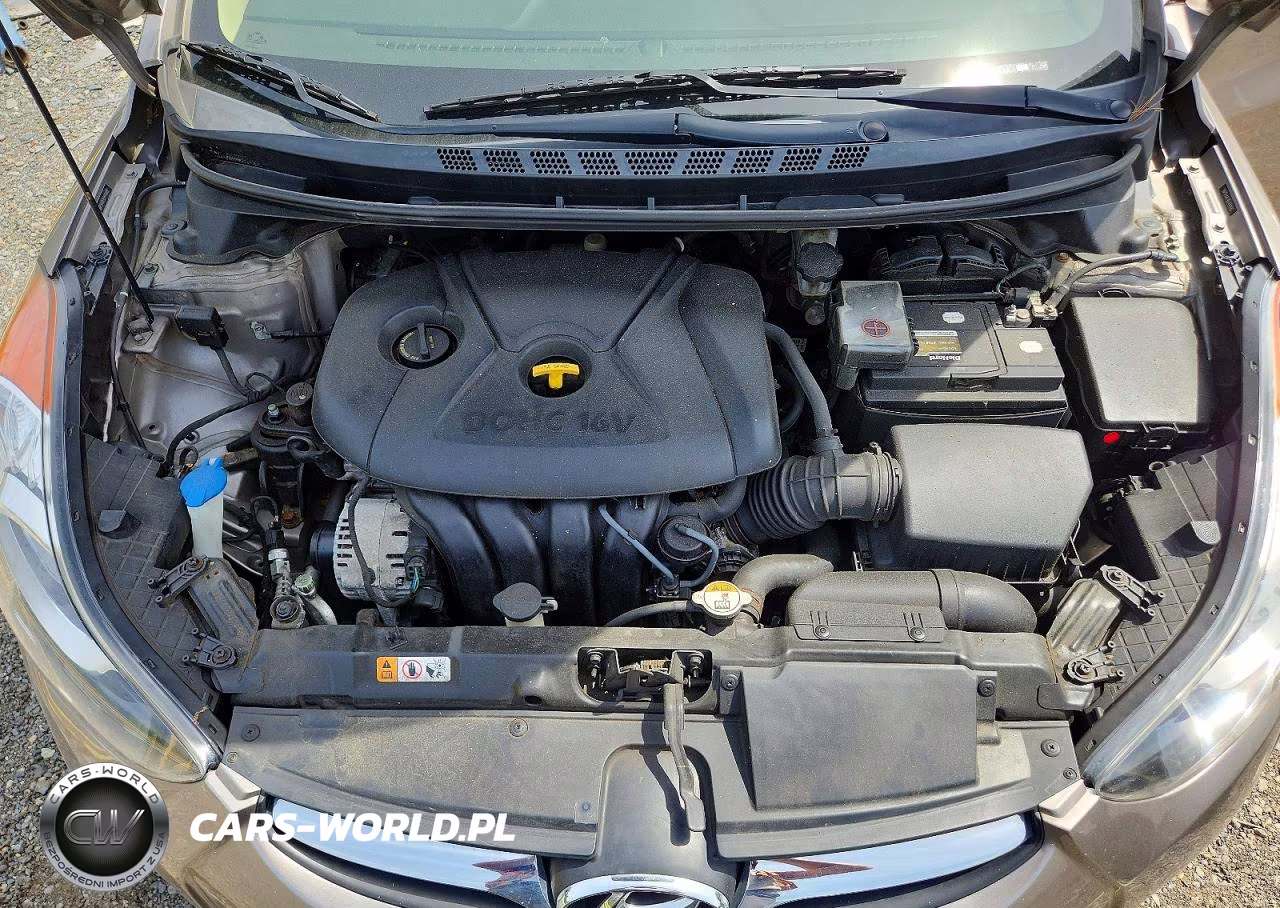 2013 Hyundai Elantra Gls VIN:5NPDH4AE9DH444482 - 11