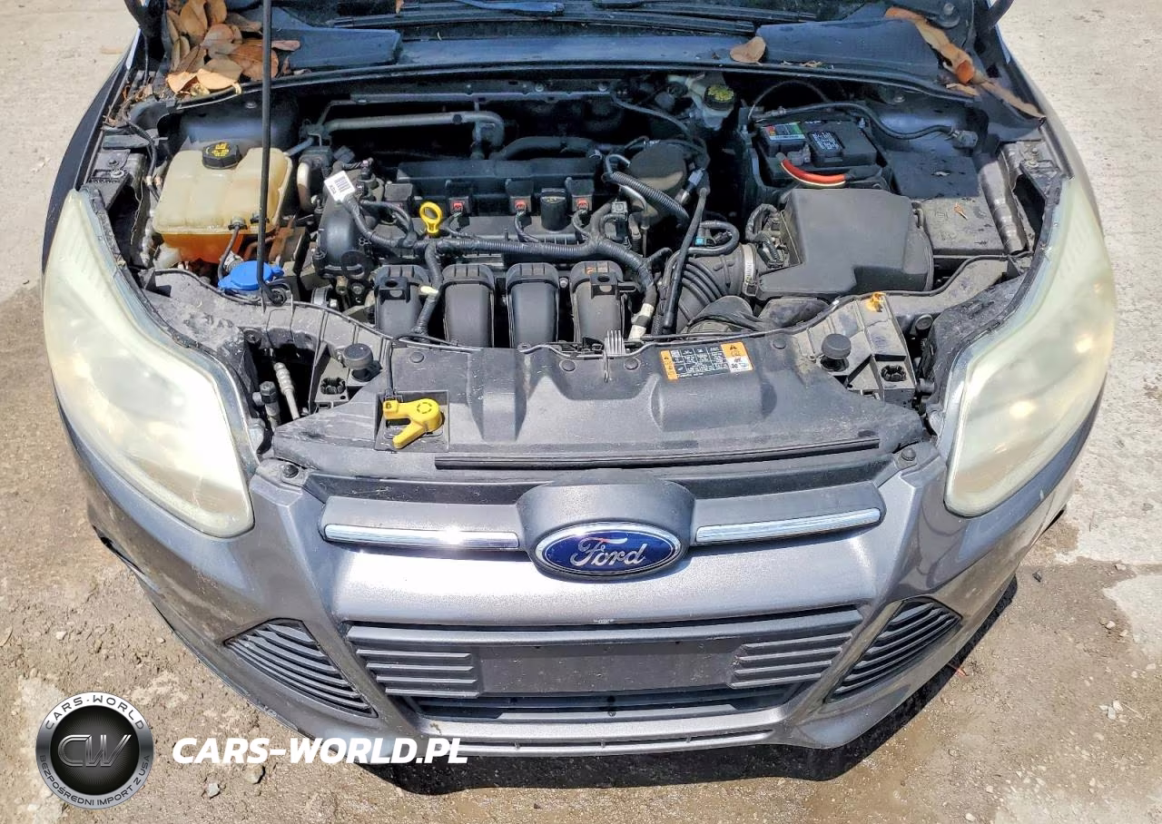 2014 Ford Focus Se VIN:1FADP3K22EL410775 - 11